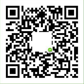 EchoDemo WeChat Pay